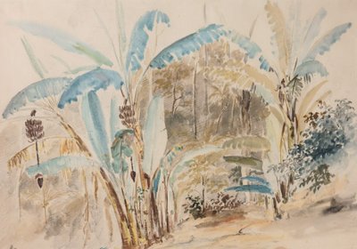 Banana Trees by Camille Jacob Pissarro